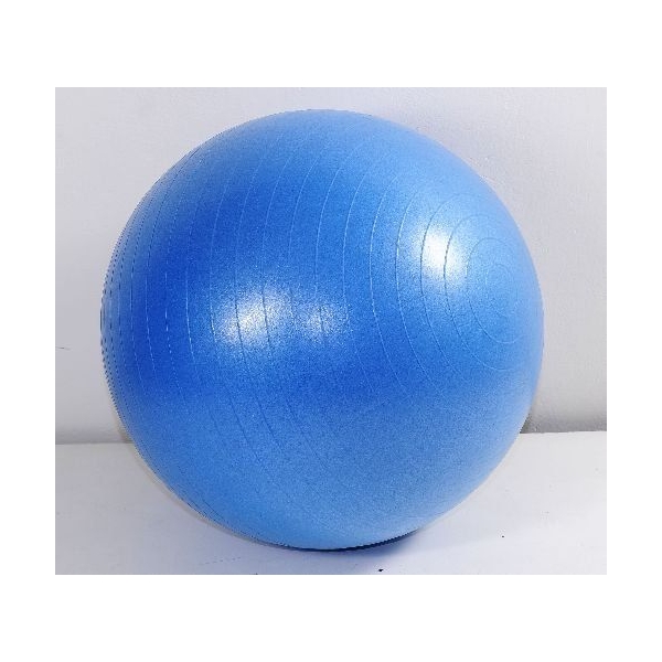 Gymy ABS Míč 55cm bez hustilky